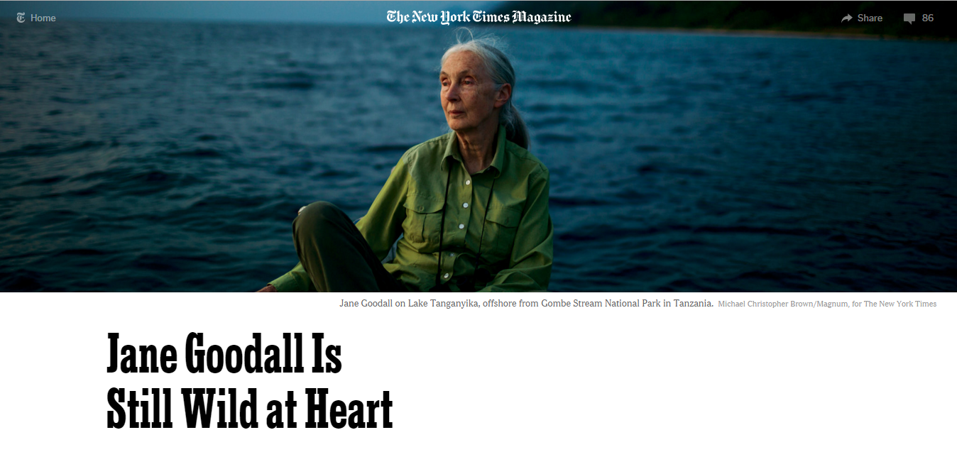 jane_nytimes