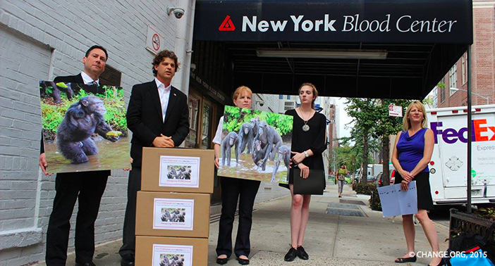 nybc_petition
