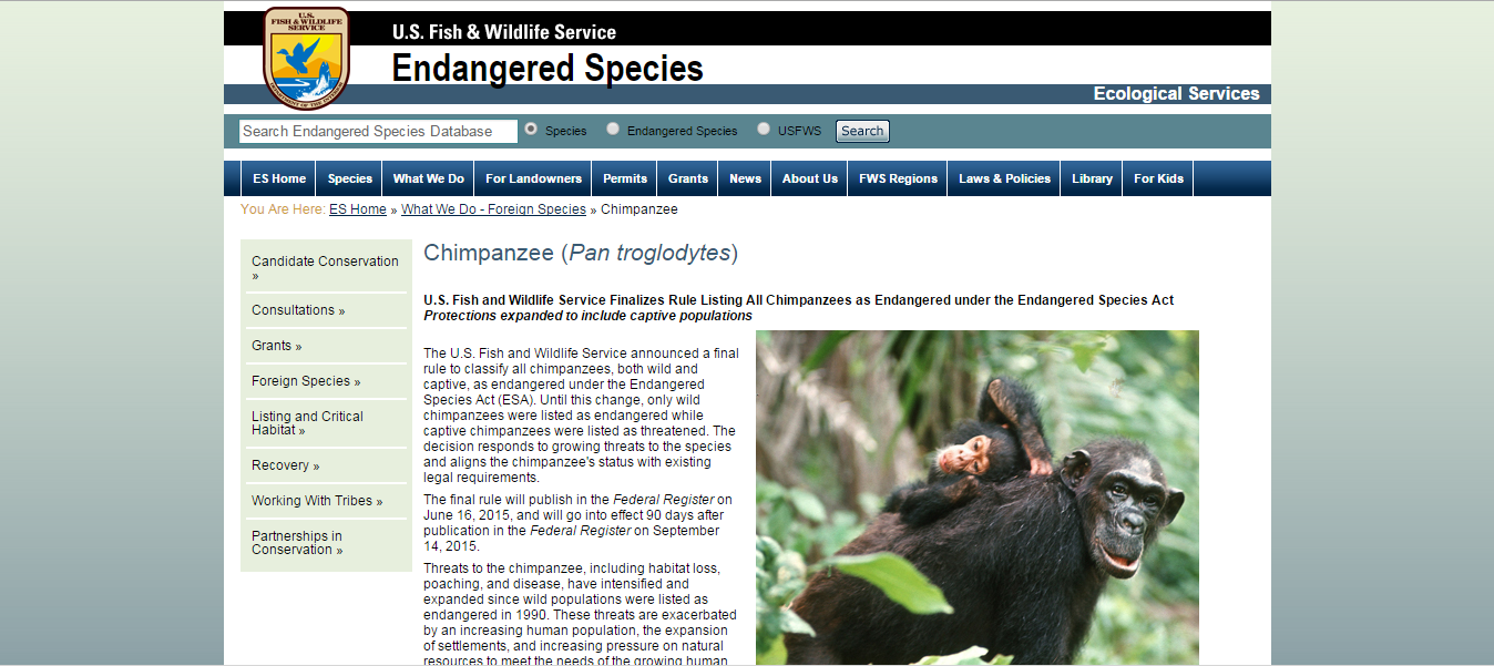 usfws_chimp