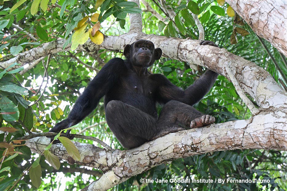 Recent Science Roundup