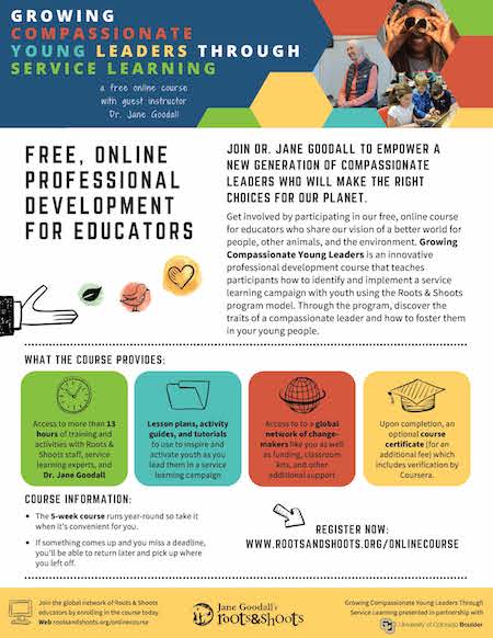 Download Course Flyer