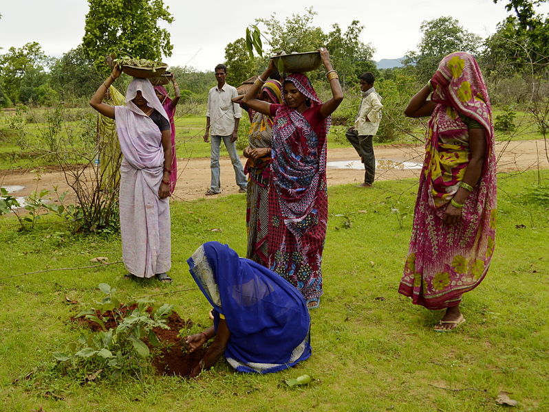 798px-Women_planting_trees,_Umaria_district,_MP,_India