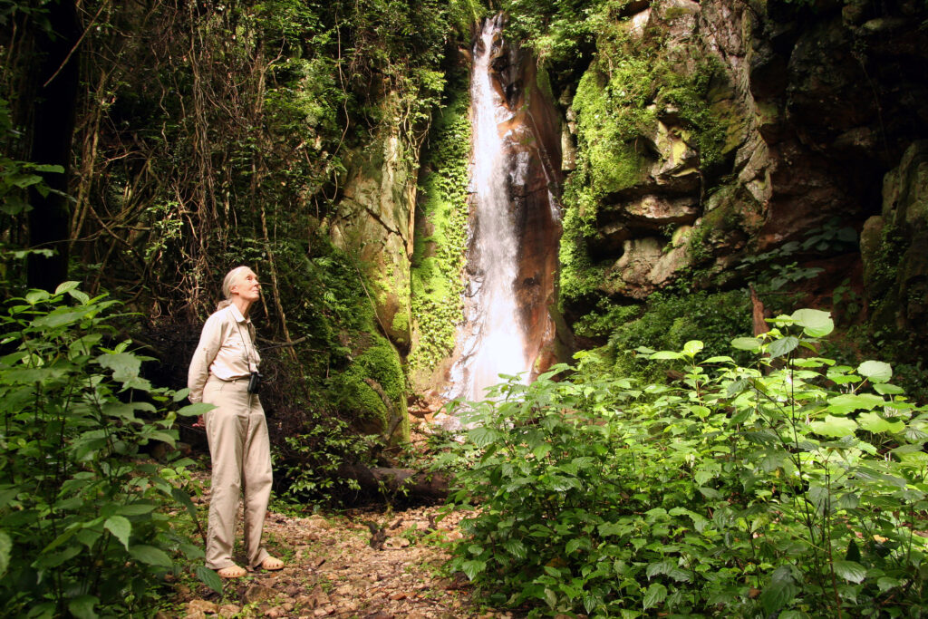A photo of an elderly, feminine person with light skin and white hair (Dr. Jane Goodall) standing outside in front of a waterfall.