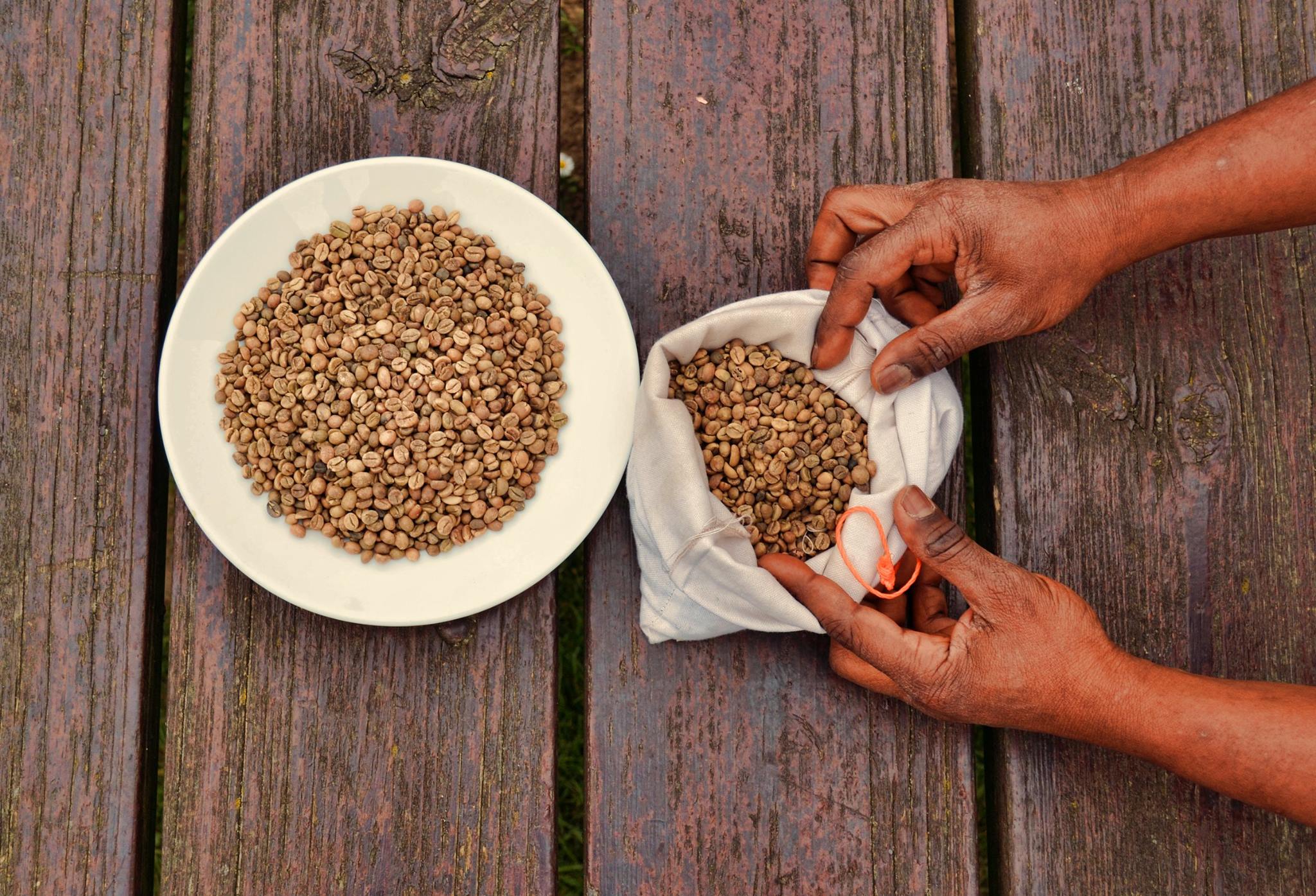 Coffee_beans_unroasted