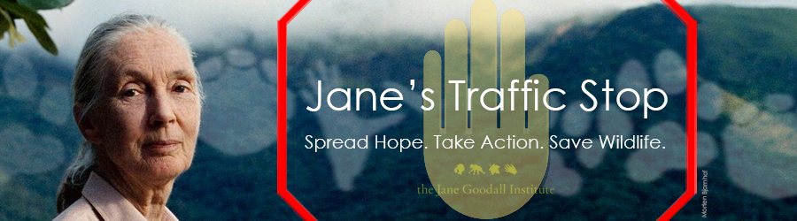 Jane’s Traffic Stop: The Fight to End Illegal Wildlife Trafficking