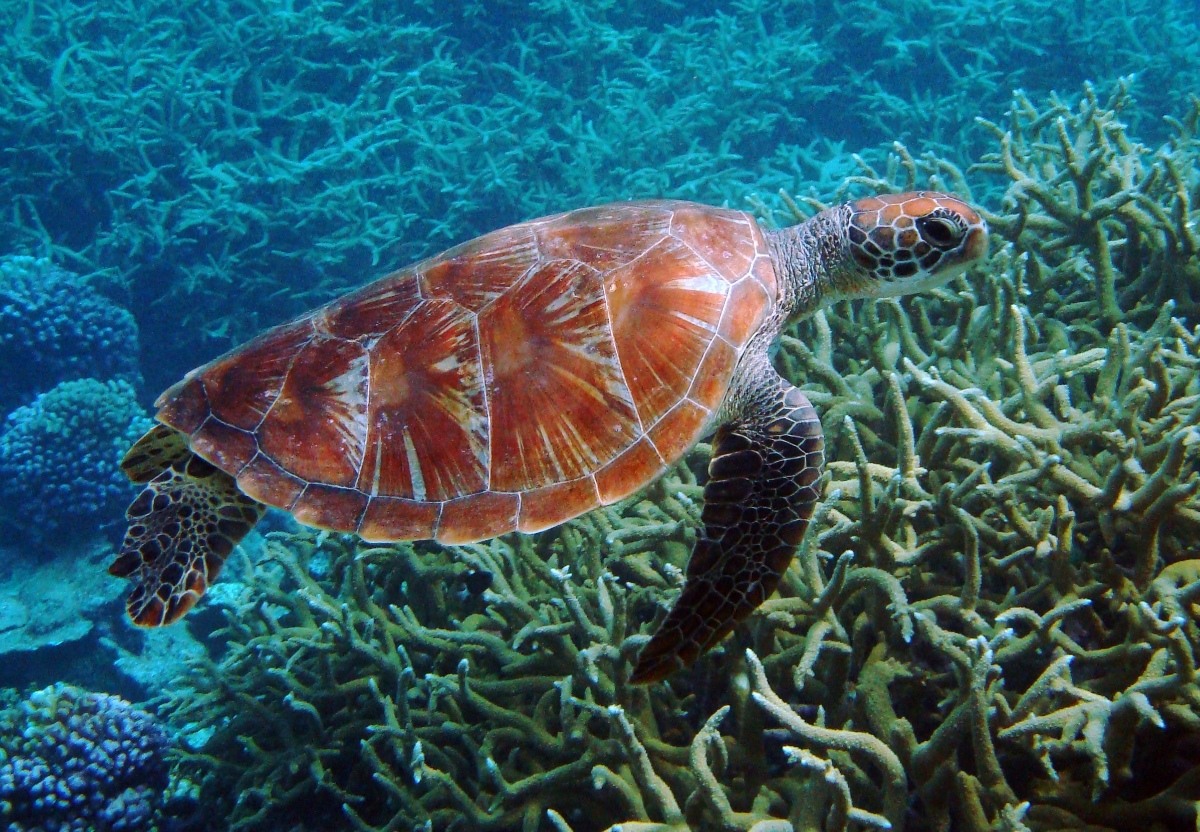 We Live on a Water World, and We Must Protect It.