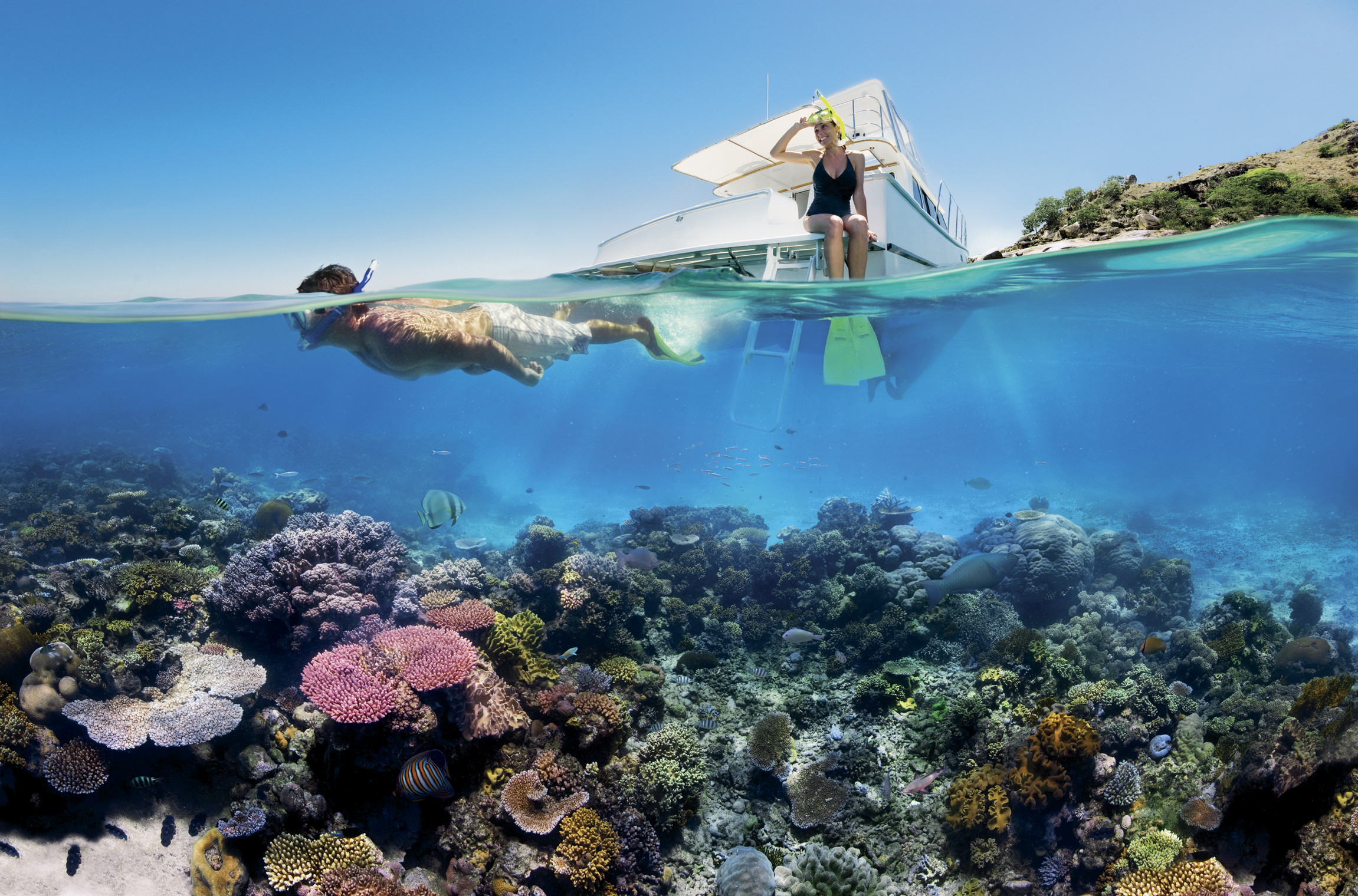 The Only Barrier to Saving Our Ocean Reefs, Is Us