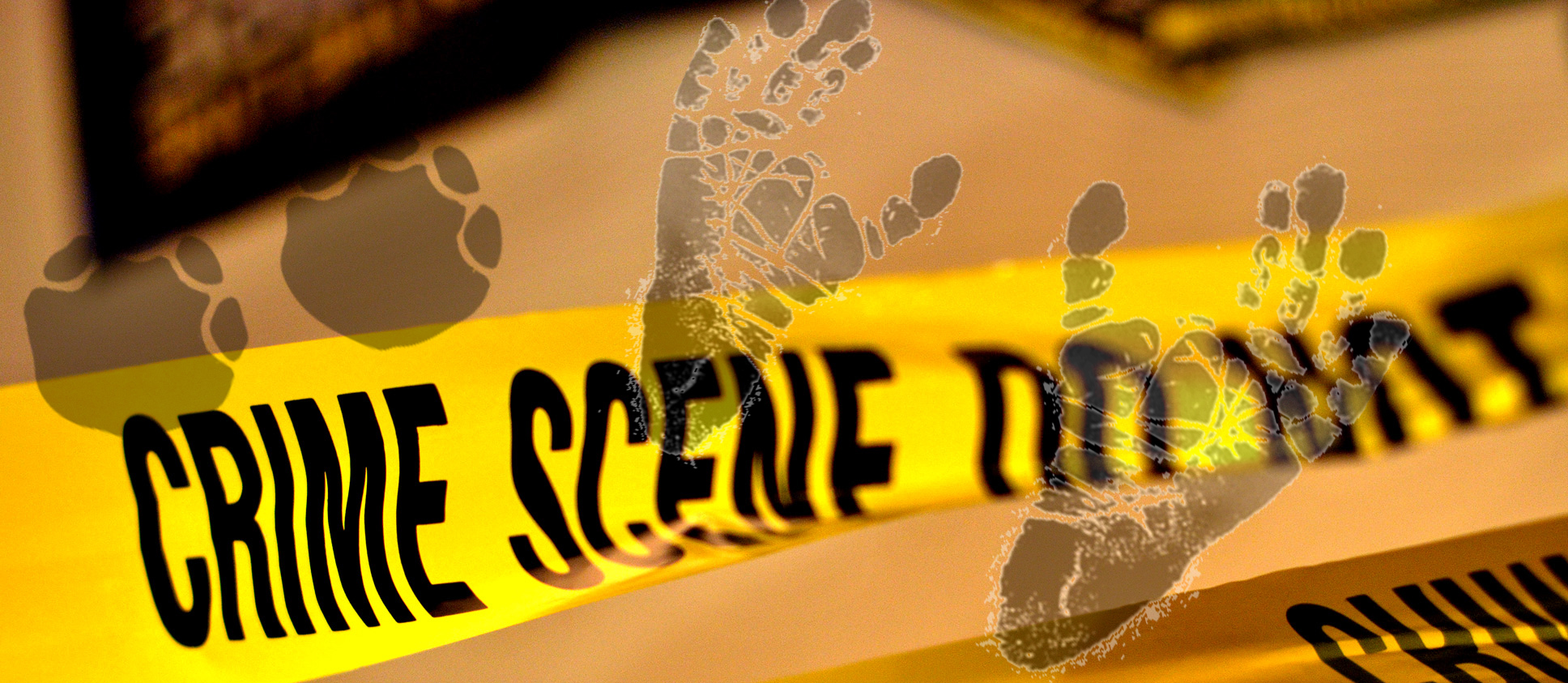 CSI: Wildlife
