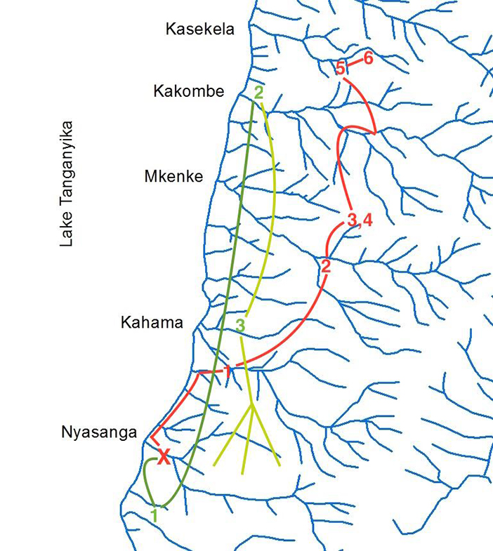 Ferdinand’s route to avoid the other males, from the point of attack on October 1, 2016 (X), through each place he slept from that day to October 6, marked by dates, in red. Meanwhile the males and others of the group (in green) moved south after the attack, but then on 2nd and 3rd came north and passed below him twice on the downhill side. On 2nd he was particularly fearful as they drew nearer, each time he heard them calling he forced himself to run uphill despite his wounds. After October 3 they dispersed more to the south and did not pose any threat to him.