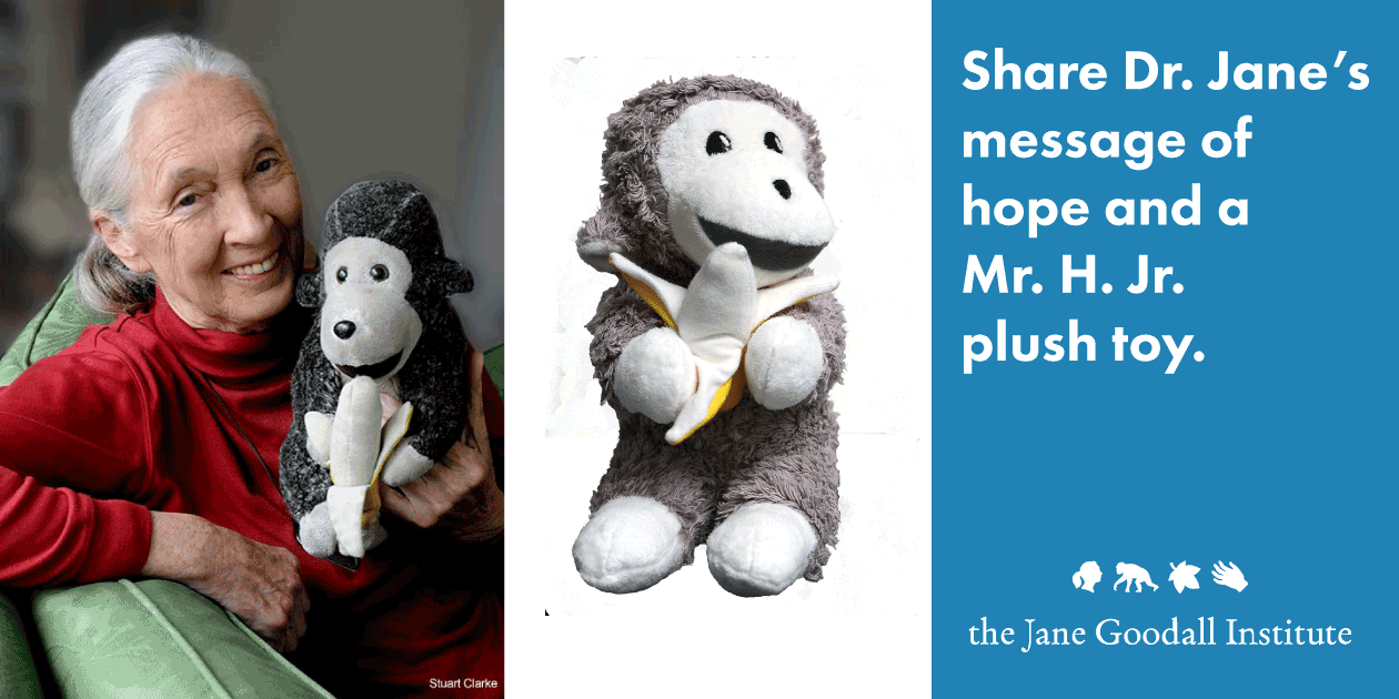 MrHJunior_GiftGuide_JaneGoodallInst