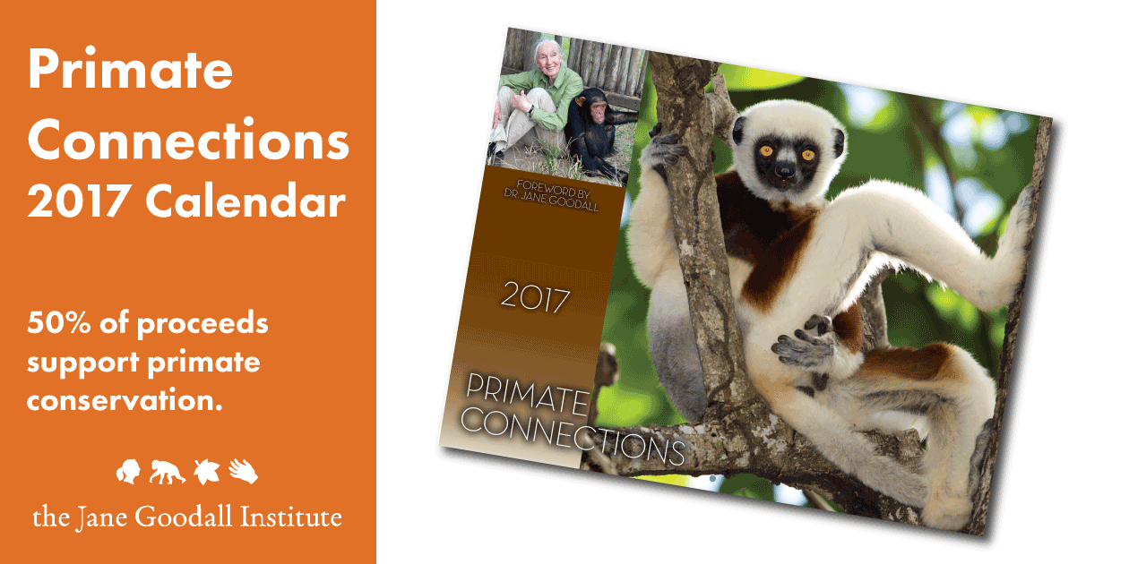 PrimateConnectionsCalendar_GiftGuide_JaneGoodallInst