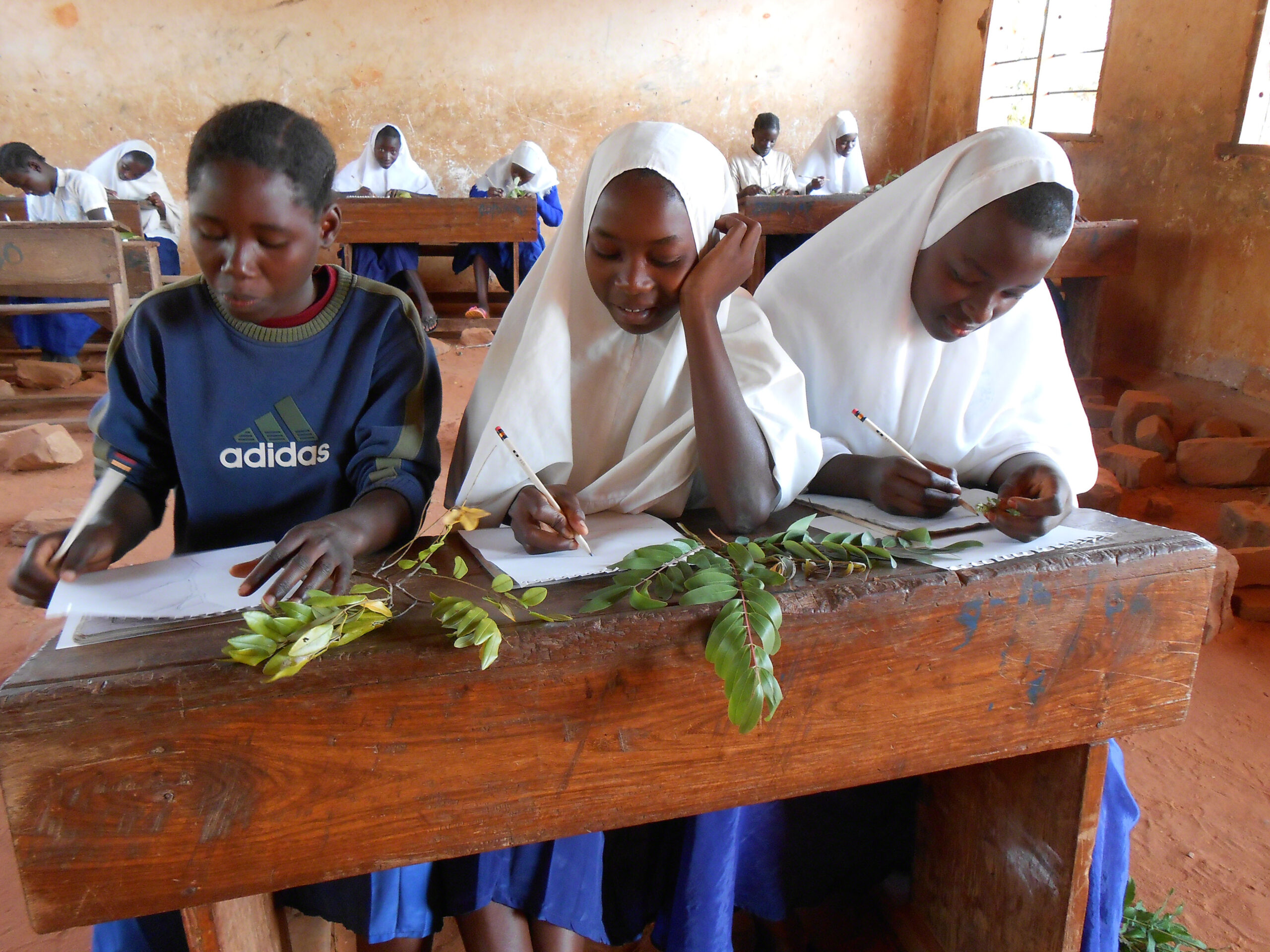 Girls at the Sokoine School near Kigoma, Tanzania