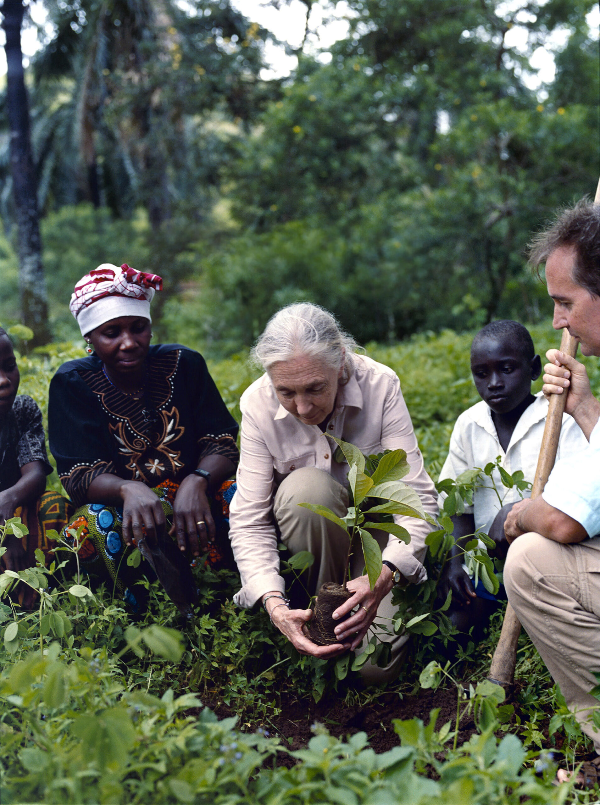 Jane Goodall plants a tree seedling in Gombe National Park. With her is son Grub. GANT photo shoot.
