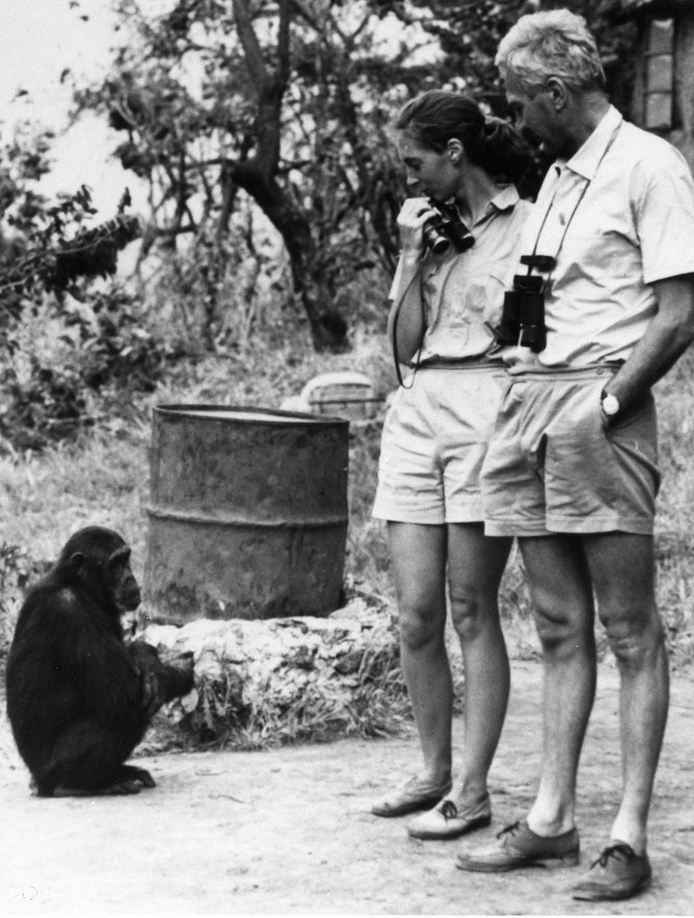Melissa, Jane Goodall and Robert Hinde in Gombe Stream Wildlife Preserve