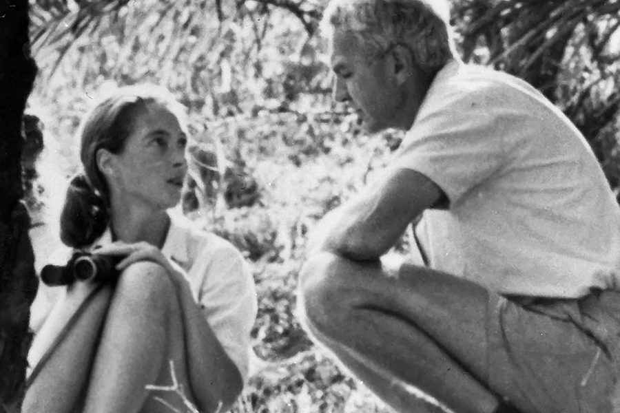 Remembering My Mentor : Robert Hinde