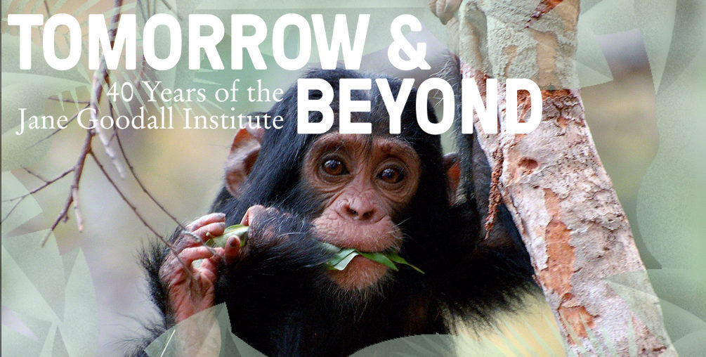 Happy Birthday to Us: Taking Conservation into the Future!
