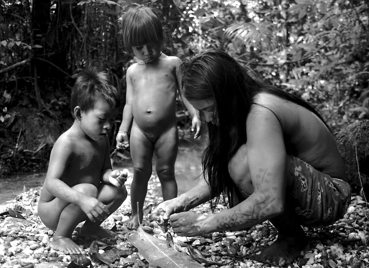 Yasuni 3