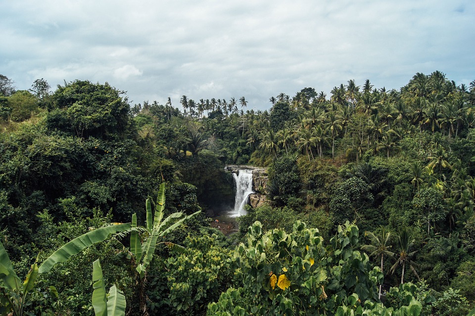 One Huge Step for Conservation in the Eastern DRC