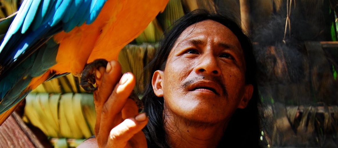 yasuni 1
