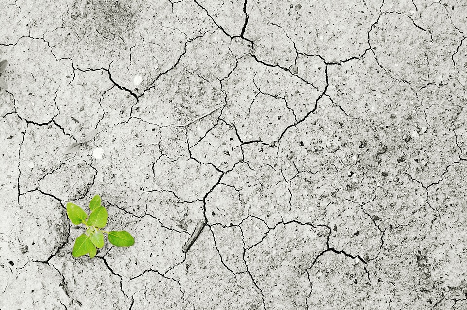 Turn Real TALK into Real ACTION: Climate Change