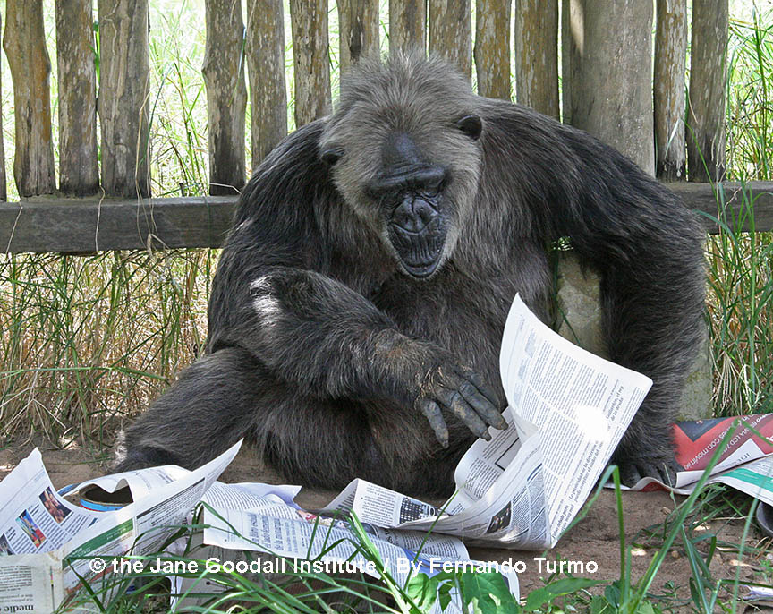 LaVielle reads the newspaper