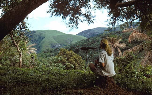 A photo of a young, feminine person with light skin and blond hair in a ponytail (Dr. Jane Goodall) sitting on the ground with a telescope and overlooking a wide expanse of rolling, forested hills.
