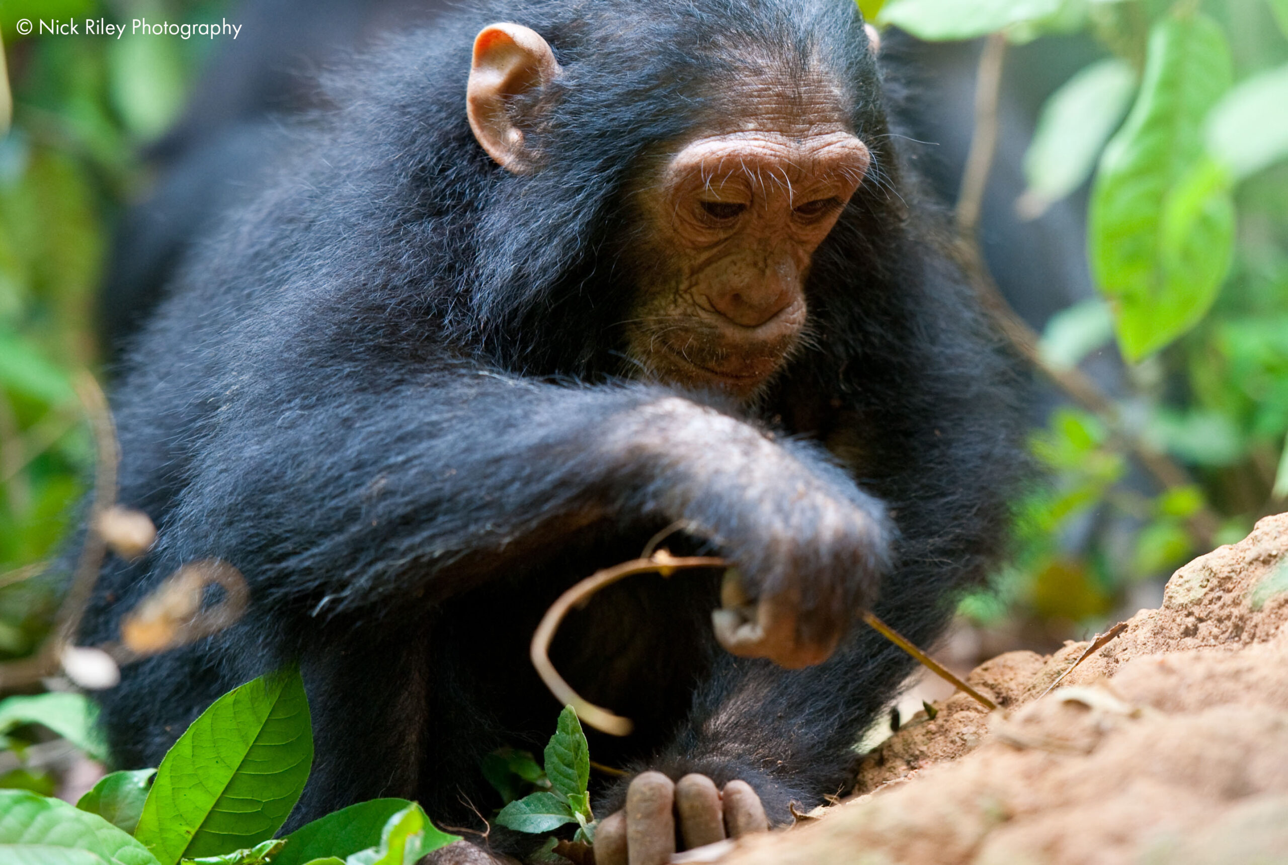 Recent Science Round Up