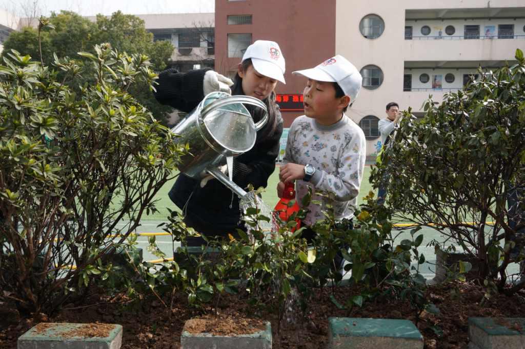 World Environment Day: China Works Toward a Brighter Future