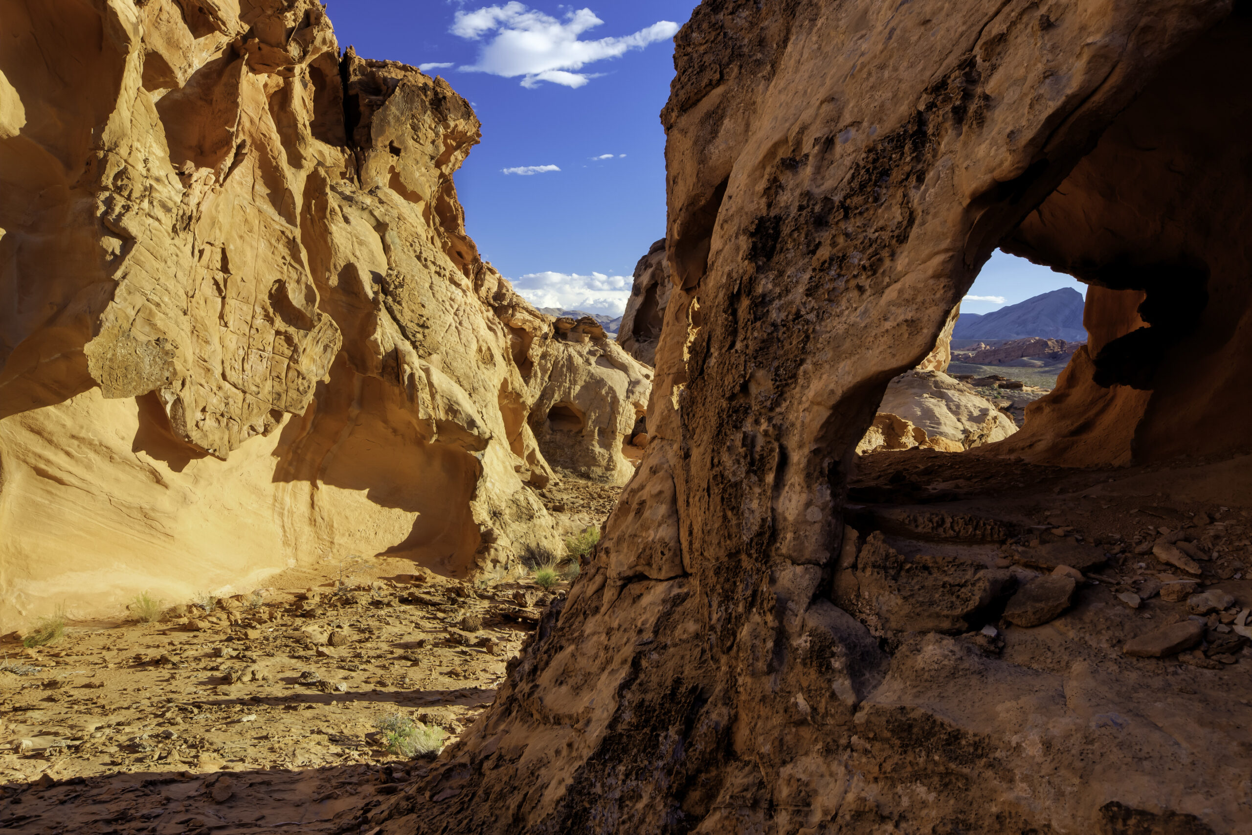 100th Birthday Wish: Protect National Parks and Monuments