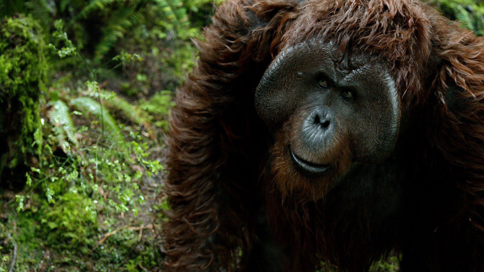 Finding Maurice: Karin Konoval in ‘War for the Planet of the Apes’