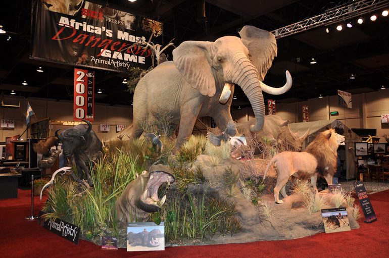A picture of the trophies displayed at one of the annual SCI conventions. 