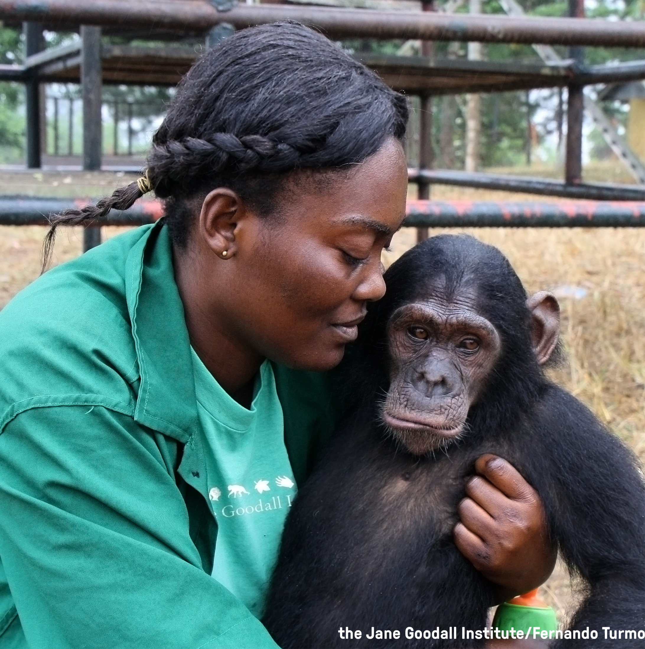 Orphan Mambou and caregiver Cristel at the JGI Tchimpounga Chimpanzee Rehabilitation Center in the Republic of Congo