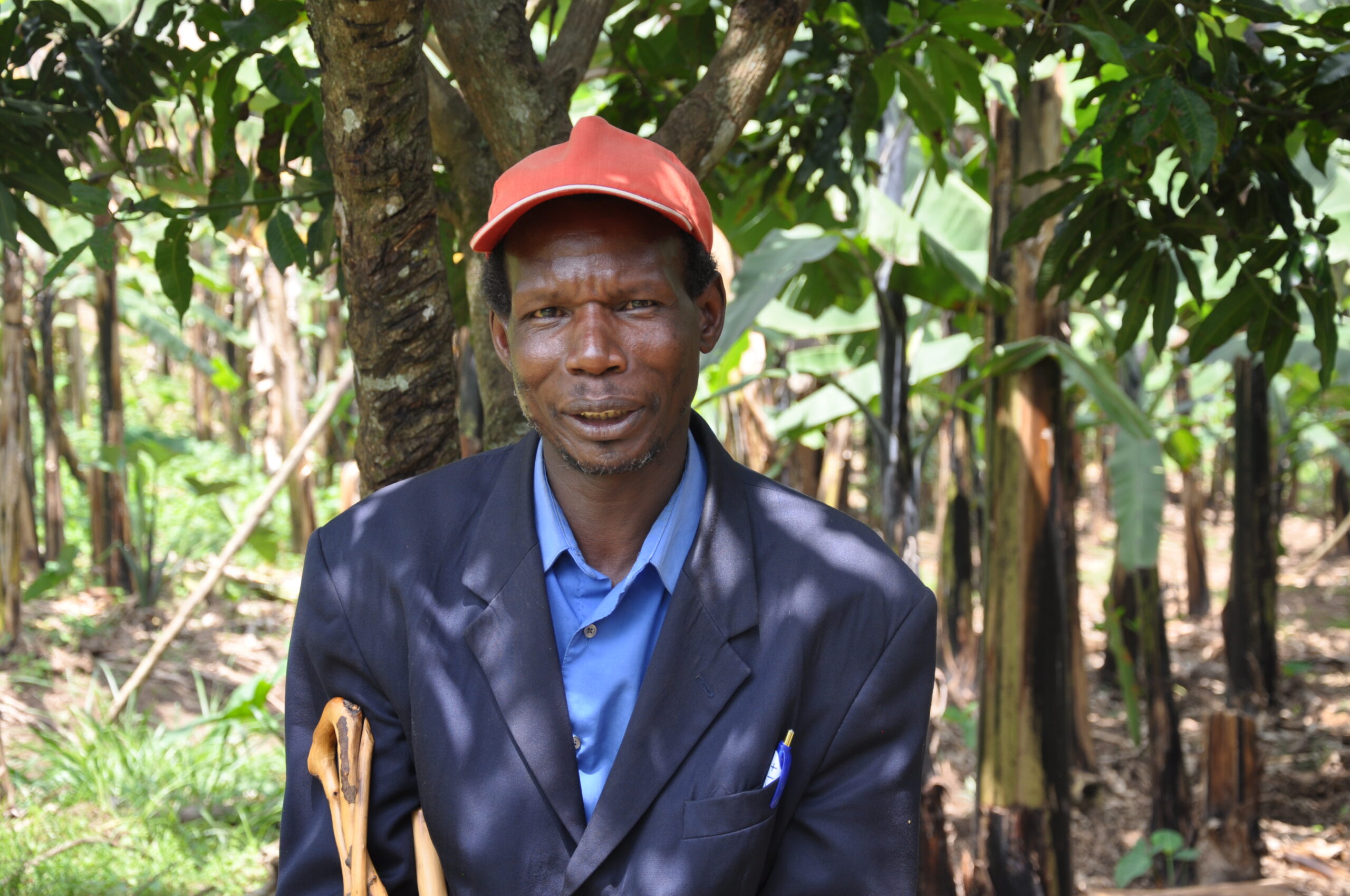 A Hit on the Timber Mafia Makes for Buzzing Business in Uganda