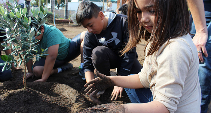 Roots & Shoots is about YOUth