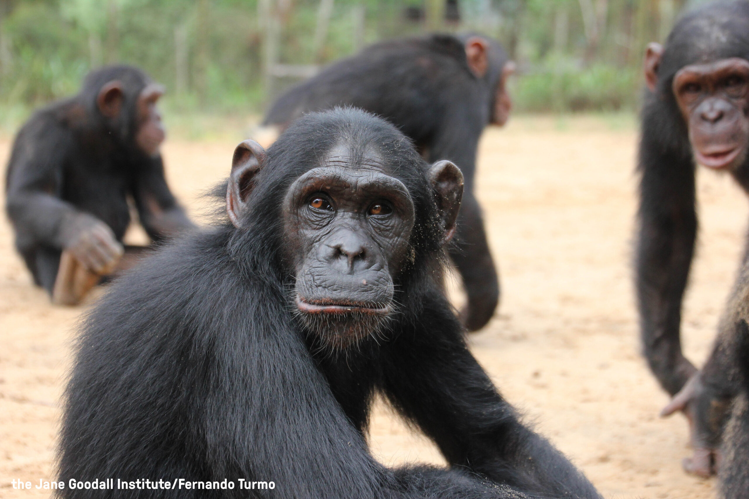 Stop the Show: Mambou’s Story