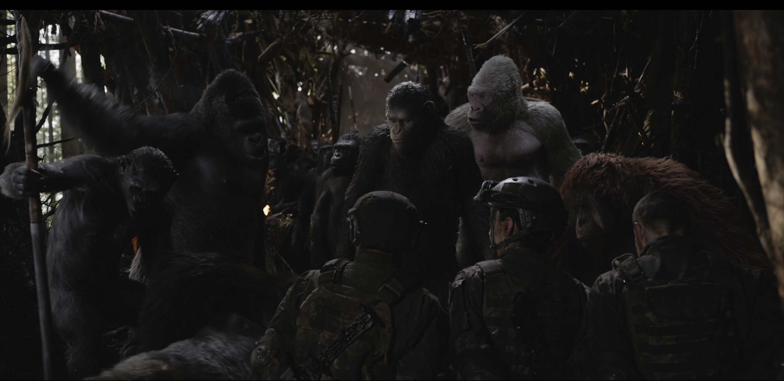 Twentieth Century Fox's "War for the Planet of the Apes."