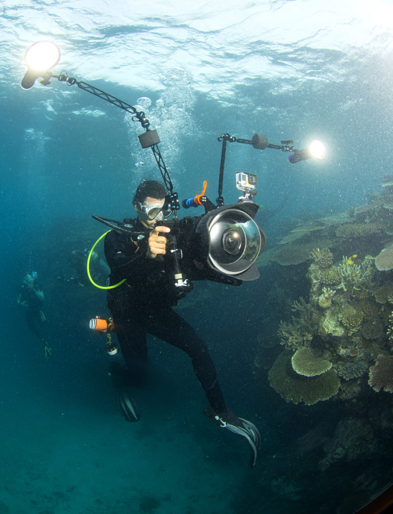 Chasing Coral