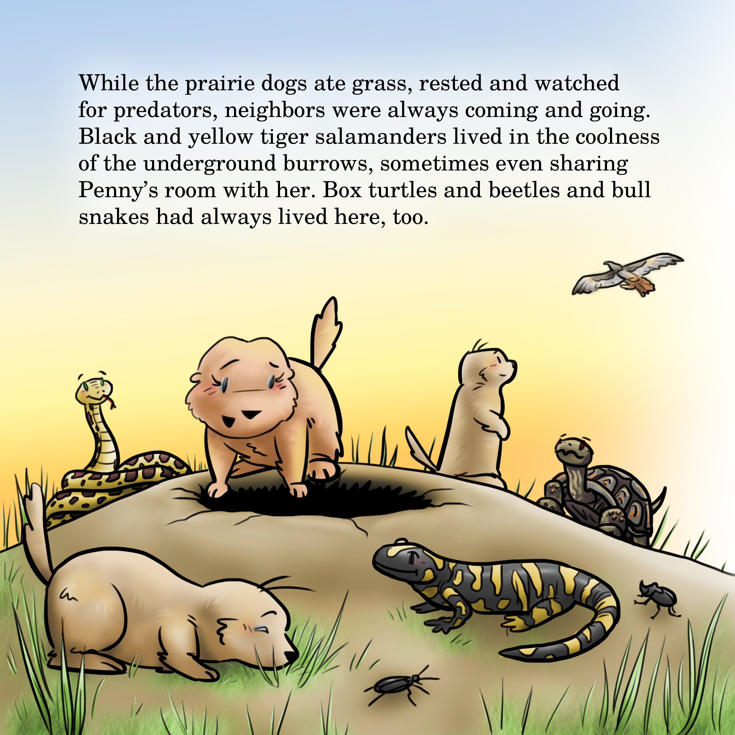 PG 21 illustration (2)small
