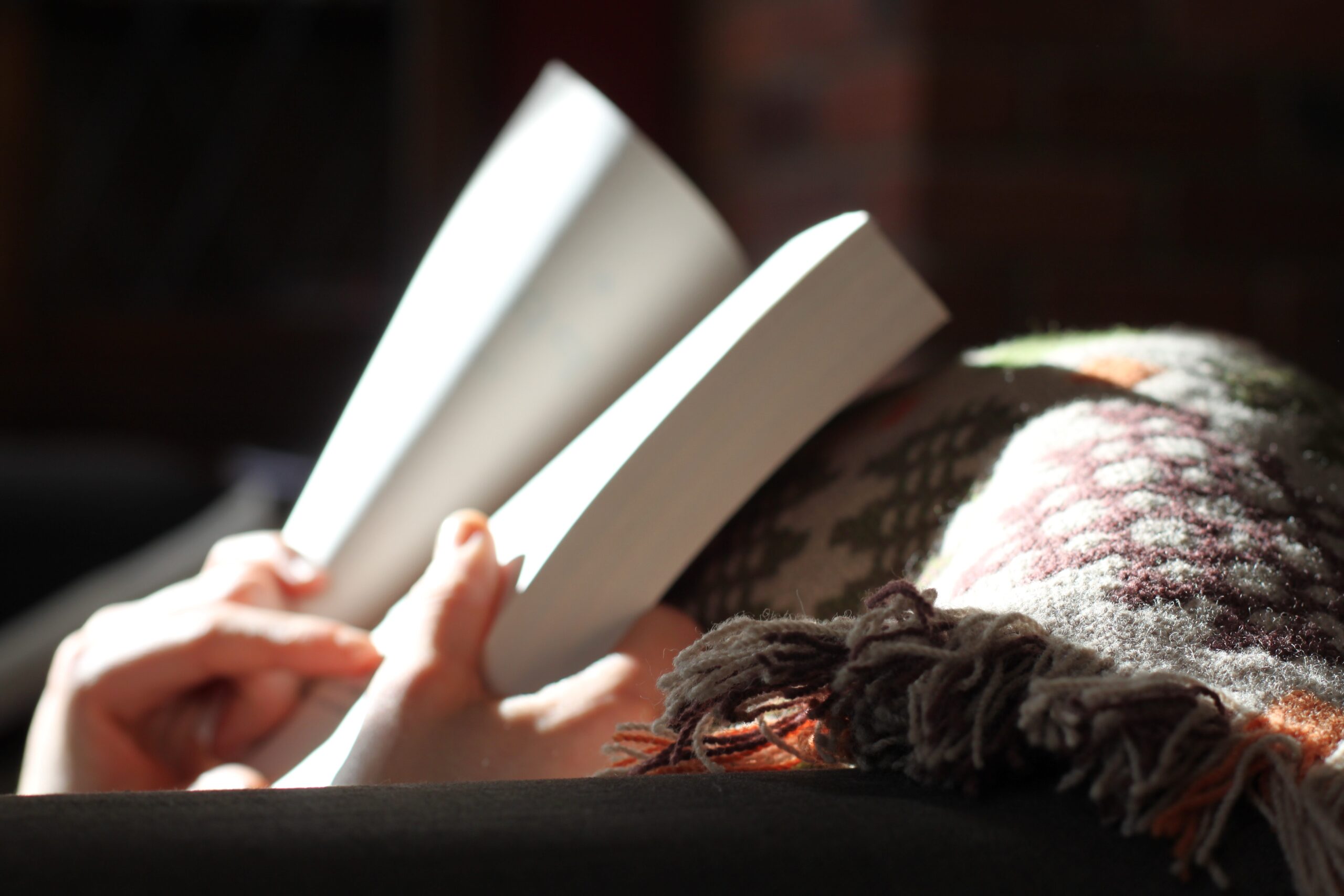 Go on an Adventure For National Read A Book Day
