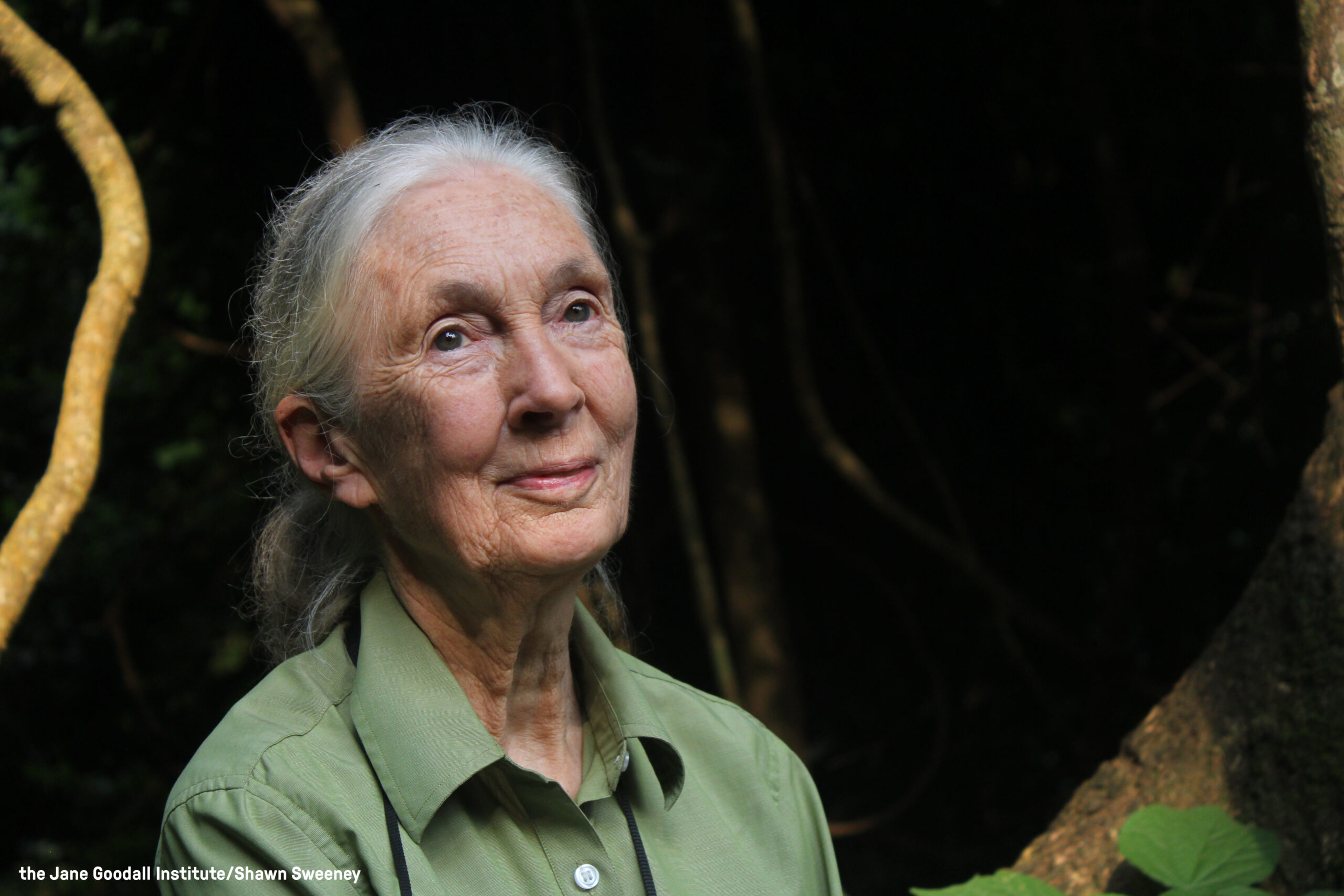 Dr. Jane Goodall’s Message for Peace