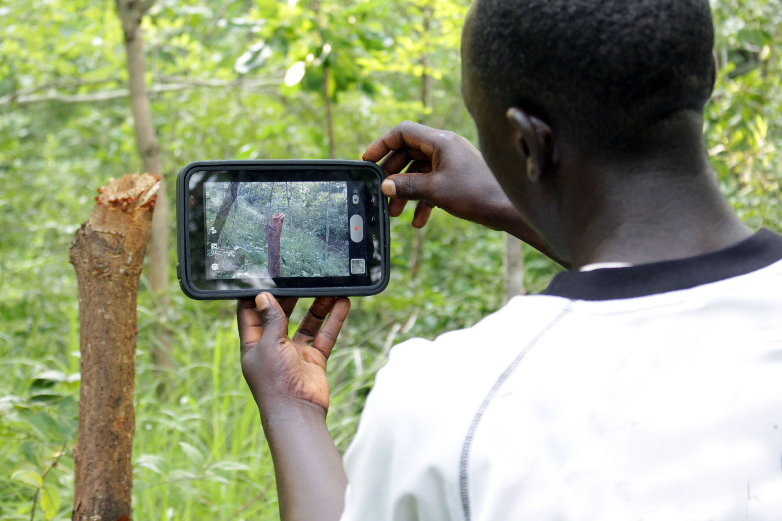 Villager uses a tablet to record forest health