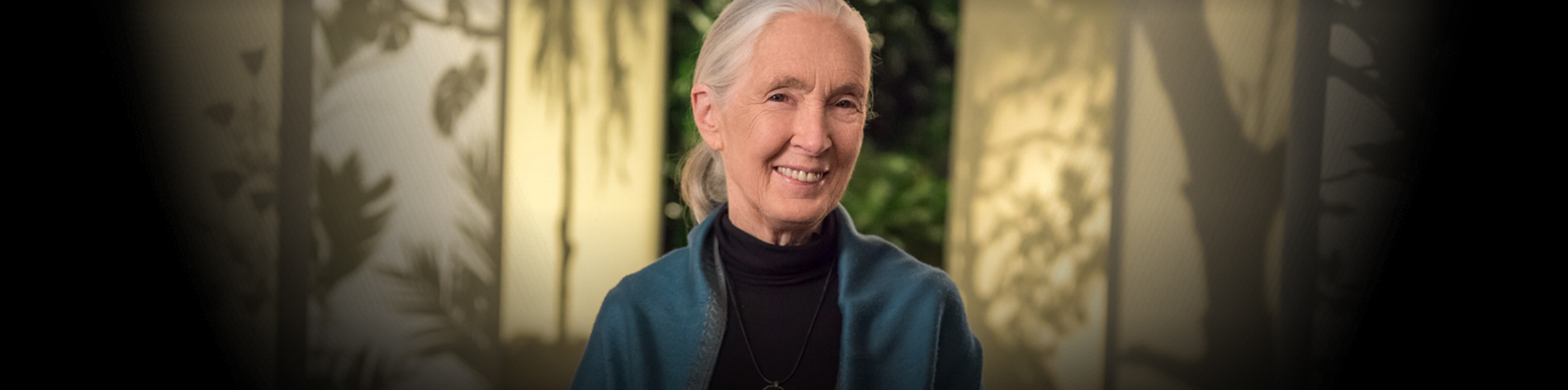 Thomas D. Mangelsen Unites with Dr Jane Goodall for his Legacy Release