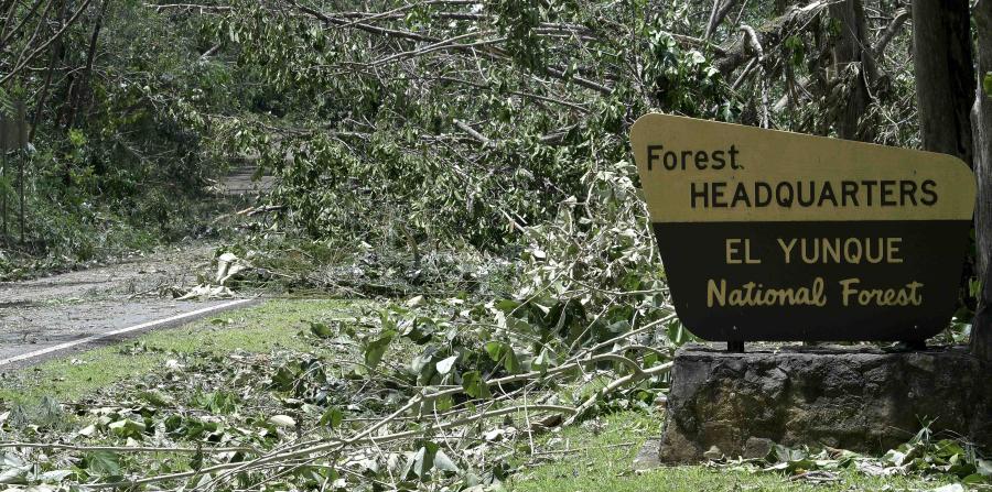 Aftermath of Hurricanes Maria & Irma in Puerto Rico. Photo provided by Claudia B. of the Roots & Shoots RSYC.