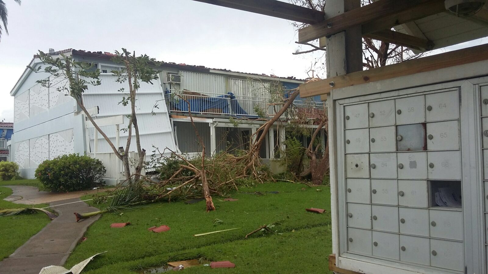 Heartbreak and Hopefulness in Puerto Rico, Part 3