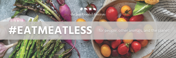#EatMeatLess For People, Other Animals, and the Environment