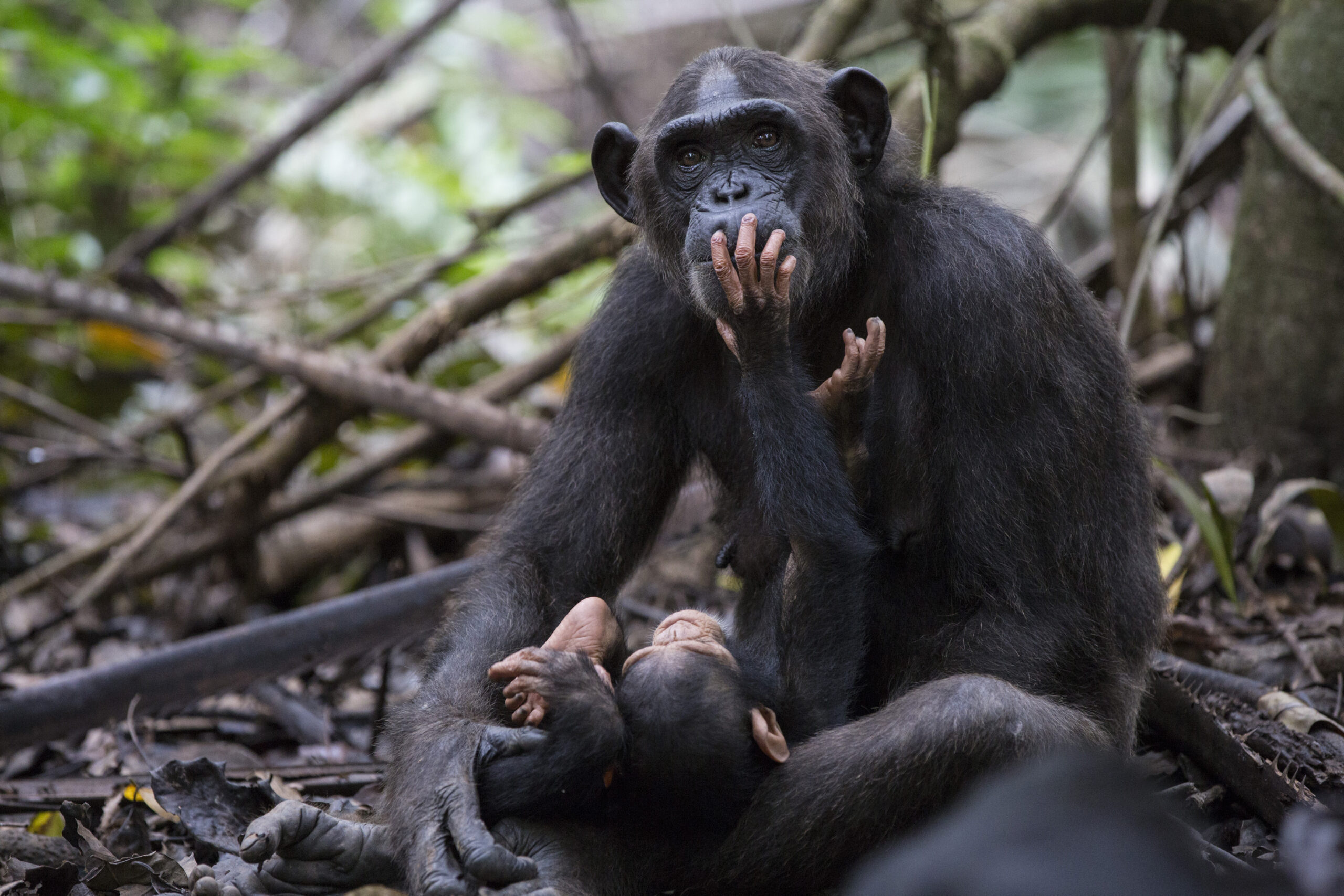 Wounda with her son at Tchinzoulou island