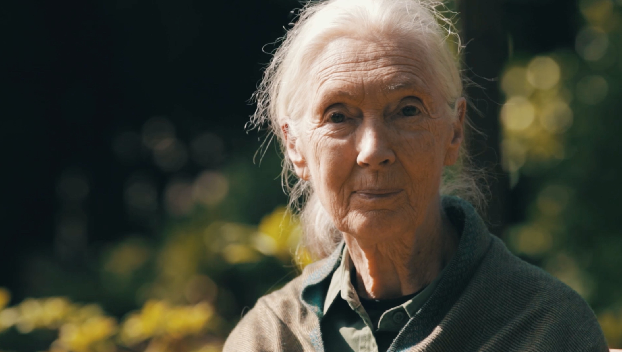 jane_goodall_saving_the_wild