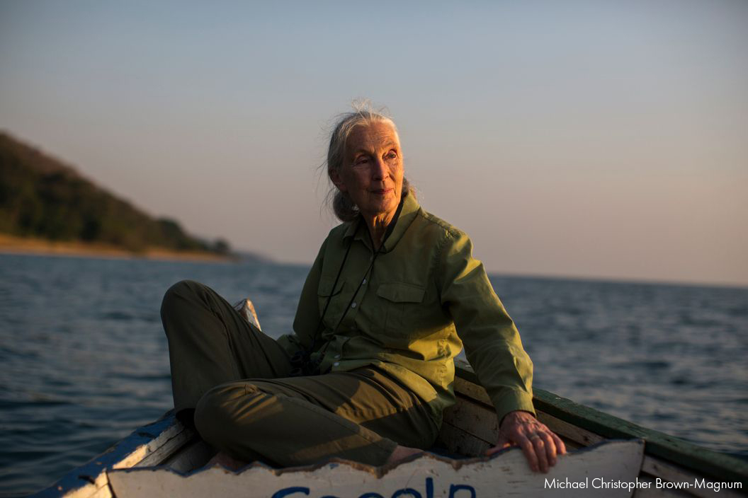New Doc Special THE HOPE Tells Story of Jane’s Living Legacy