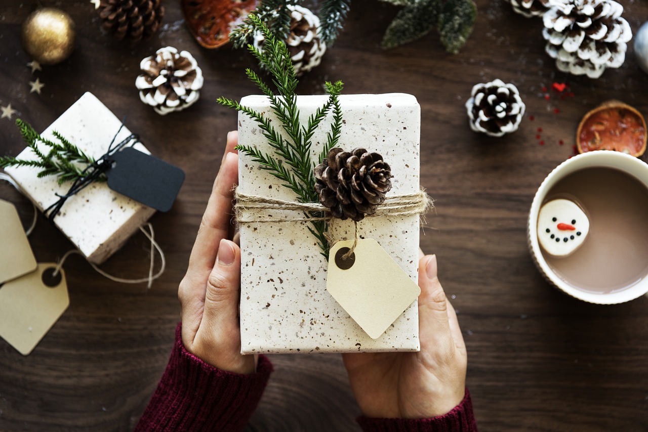 Roots & Shoots Holiday Give Guide