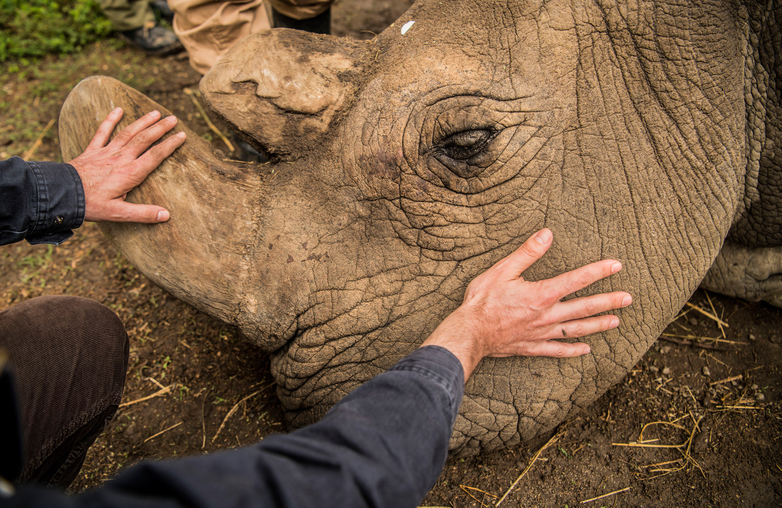 Sudan. PHOTO: AMI VITALE
